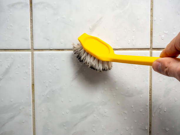 Best Emergency Mold Removal  in Romeo, MI