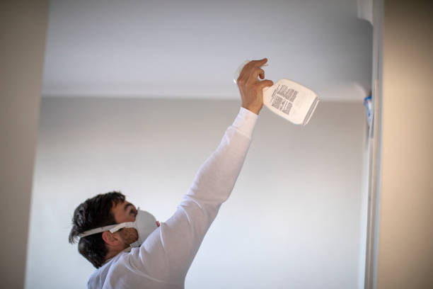 Best Mold Removal Near Me  in Romeo, MI