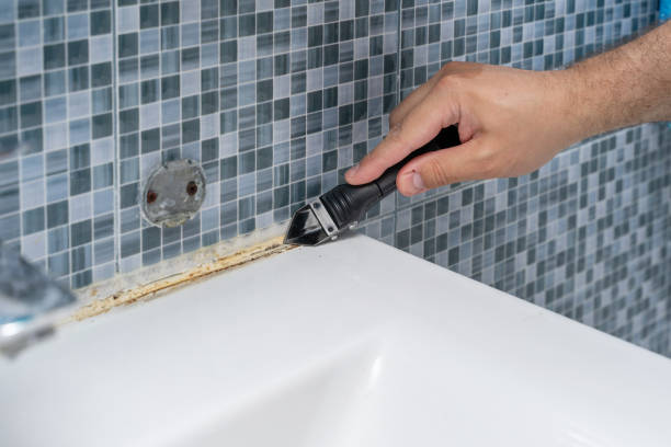 Best Same-Day Mold Removal  in Romeo, MI