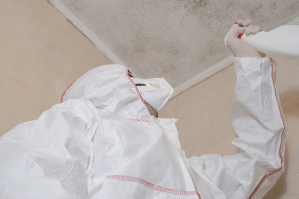 Best Mold Testing  in Romeo, MI