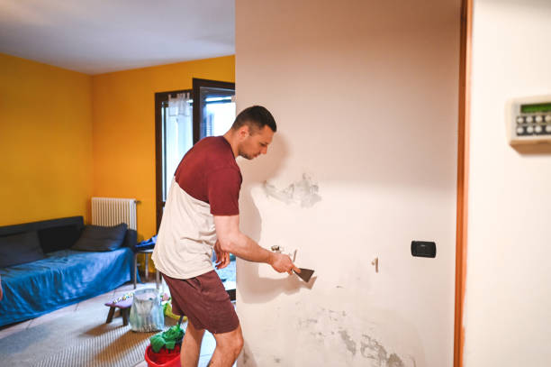 Best Mold Removal Near Me  in Romeo, MI